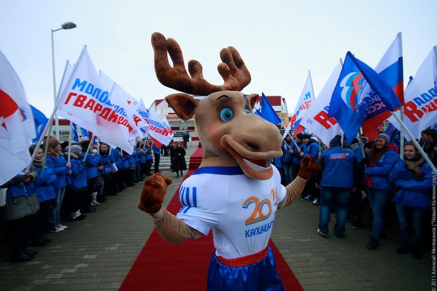 "Лось Маша и прочая законная агитация": фоторепортаж "Нового Калининграда.Ru"